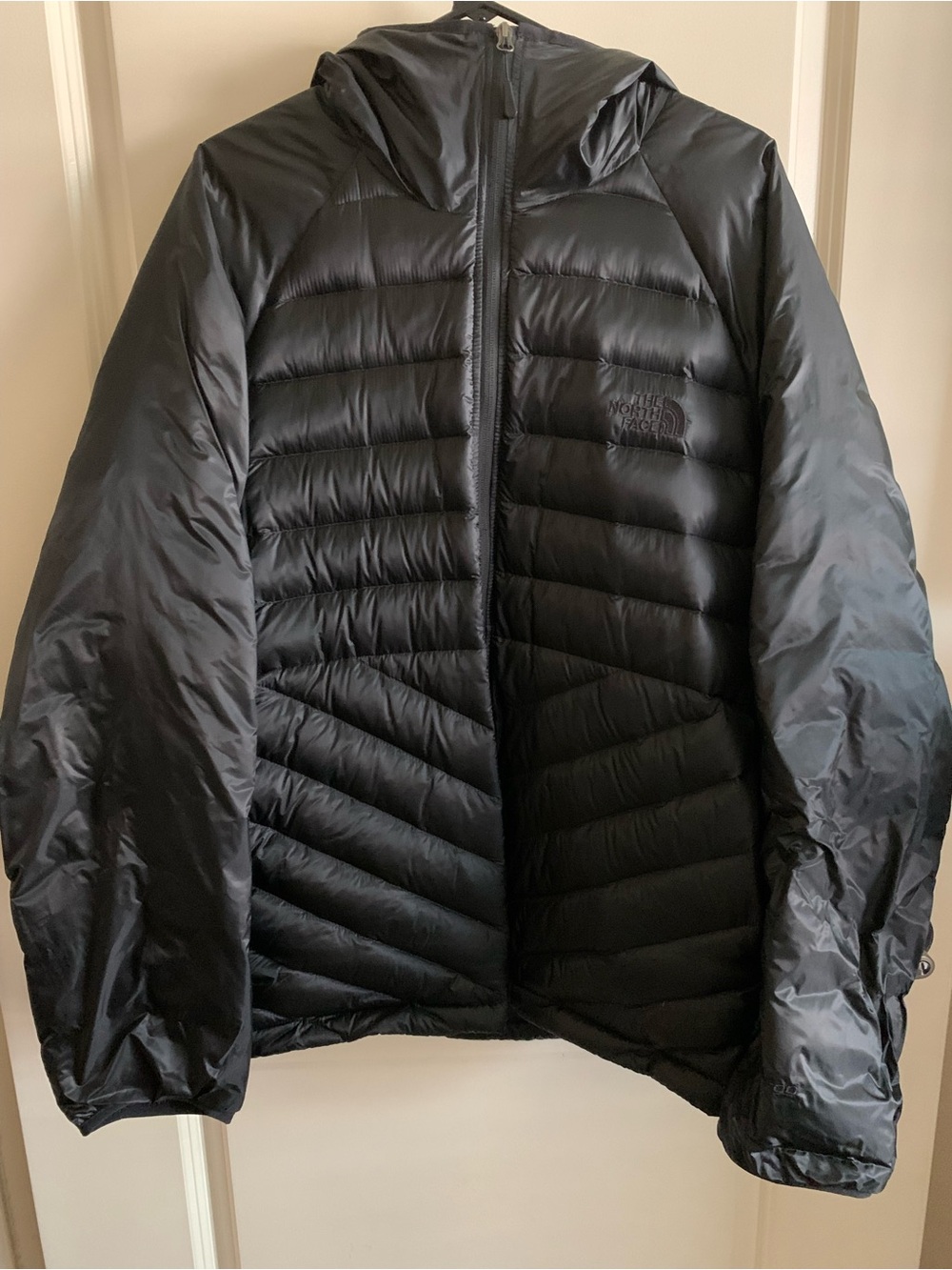 The North Face Men’s Black Hooded Puffer Jacket